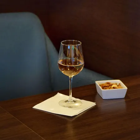 格勒诺布尔中心基里亚德酒店 酒店 3*