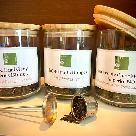 Kyriad Centre ホテル 3*