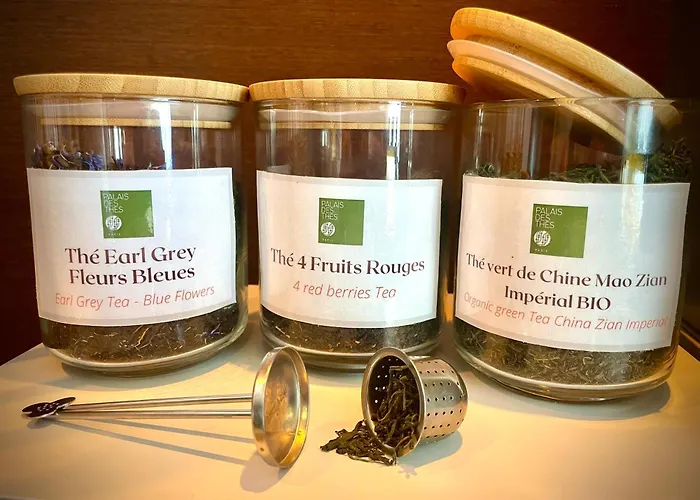 Kyriad Centre فندق 3*